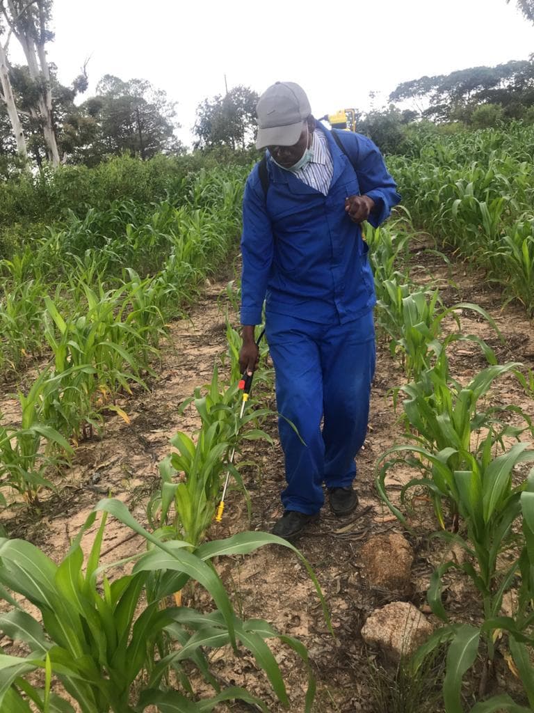 Humuson application program chart for legumes