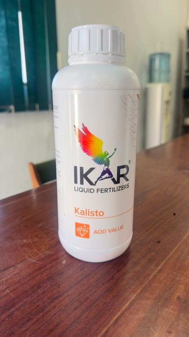 Kalisto — product pack