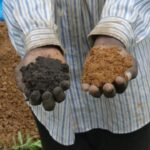 Dead Soils Do Not Produce Desired Results!