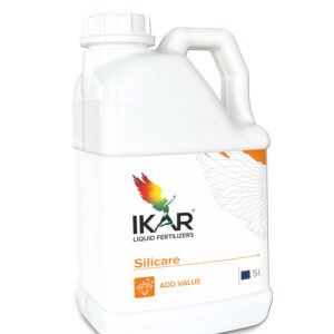 SILICARE®